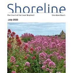 Open ShoreLine Magazine â€” July 2020
